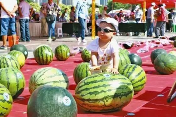 吃瓜大赛宣传语,吃瓜大赛，一夏狂欢等你来