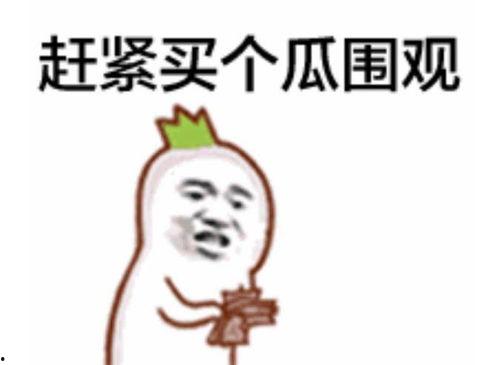 吃瓜群众英文翻译是什么,From 'Eating Watermelon Spectators' to English: A Brief Overview of the Translation Phenomenon