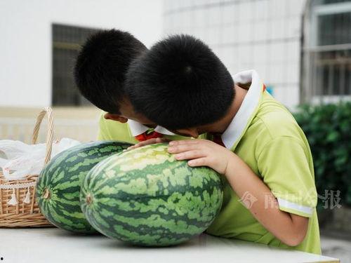 和孩子们一起来吃瓜,与孩子们共享欢乐吃瓜盛宴