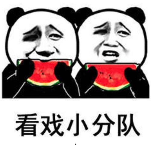 适合娱乐吃瓜的头像,吃瓜群众必备头像大集合